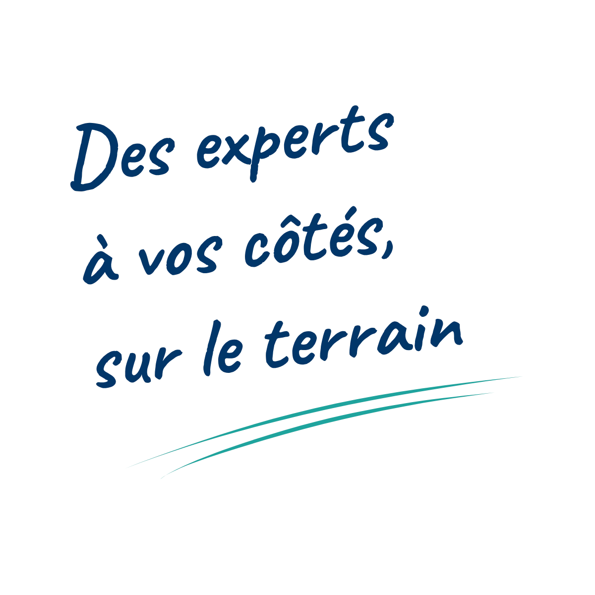 des experts à vos côtés